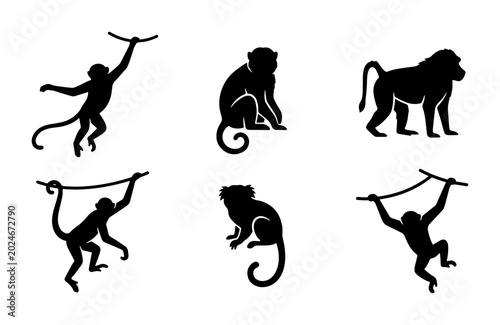 Photography Monkey Silhouettes Vector Set: Primate Poses, Jungle Animals, Wildlife Graphics,