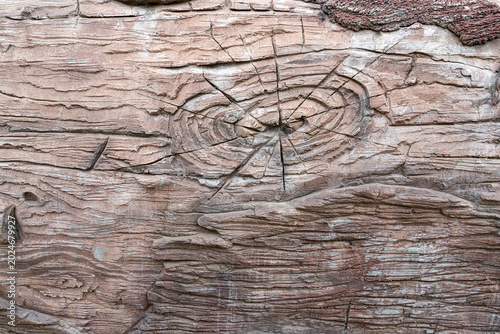 Natural wood texture with rings and patterns