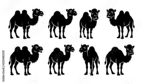 Photography Set of Eight Black Camel Silhouettes, Desert Wildlife Vector Icons, Caravan Anim
