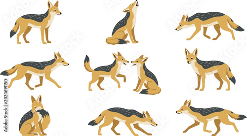Foto Black Backed Jackal Character Set with Various Poses Including Running, Howling,