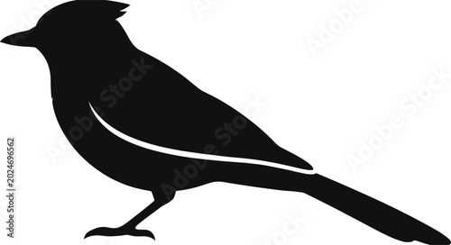 Fotografi Black bird silhouette vector illustration isolated on white background, perched