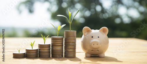 Small tree growing on stacks of coins with a piggy bank, symbolizing compound interest investment concept.