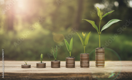 Coins stacked in increasing height with small plants growing, symbolizing financial growth and successful investment.
