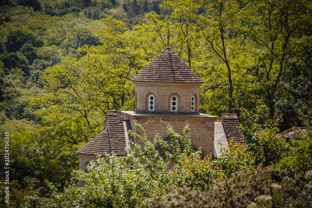 Obraz premium Monastery of Saint Michael and Gabriel in Malo Srediste village near Vrsac, Serbia