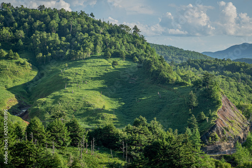 Tableau sur toile 夏の万座温泉を包む緑豊かな山肌と高原の自然風景