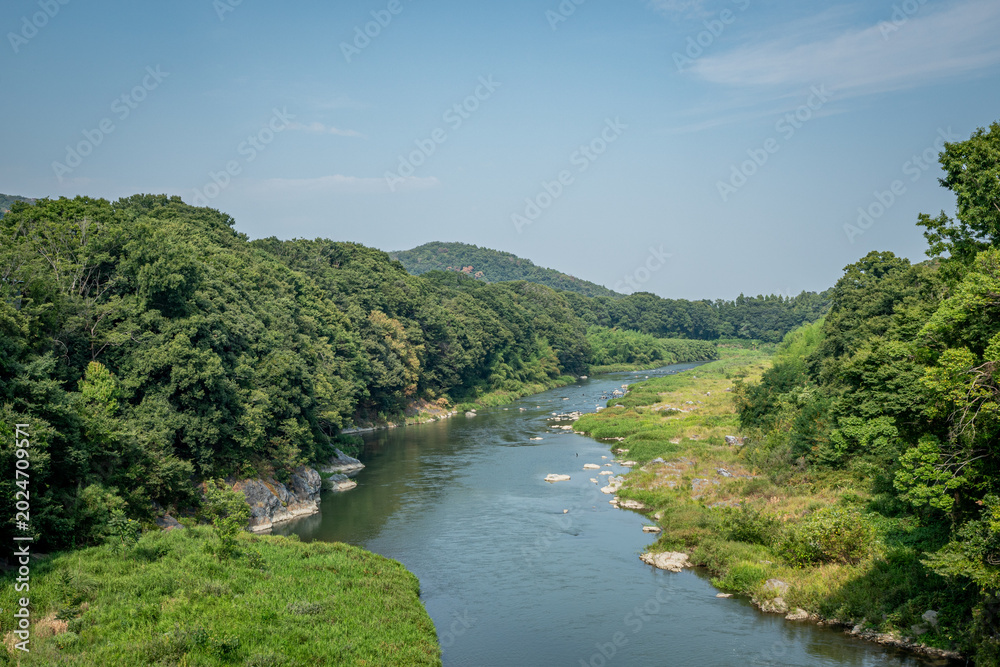 Fototapeta premium 夏の寄居町・荒川を望む緑豊かな渓谷風景