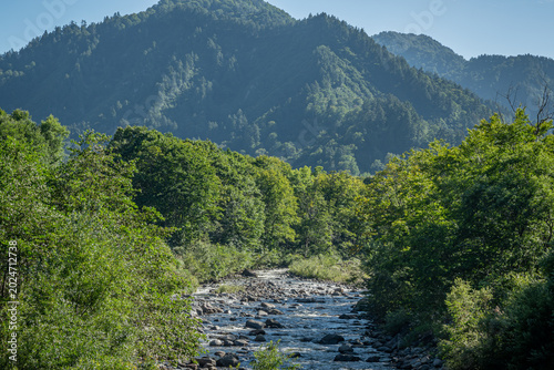 Plakat 初秋の只見川と山深い渓流風景（新潟県魚沼市）