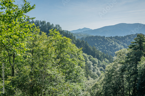 Foto 初秋の檜枝岐村に広がる深い山々と緑豊かな森林風景（福島県）