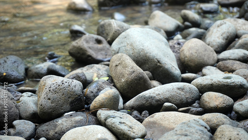 Photography Smooth river stones in shades of gray and brown lie beside a shallow stream