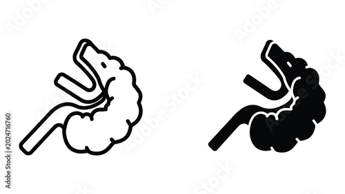 Foto Human brain with highlighted hippocampus and amygdala vector illustration