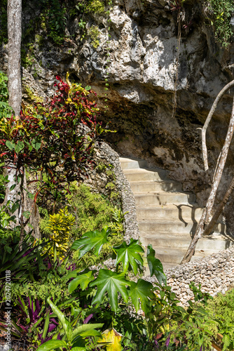 Bilde på lerret a stiff stone stair of a hiking trail at the dudu park, dominican republic