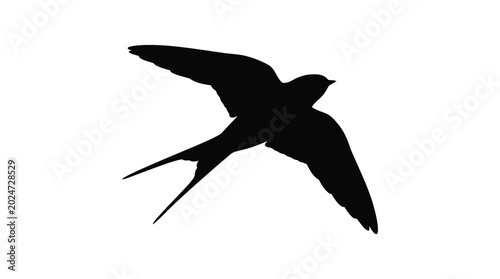Vászonkép Swallow in flight black silhouette against a white background silhouette