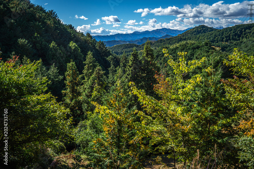 Bild auf Leinwand 埼玉県日高市・高指山から望む奥武蔵の山々。秋の広大な自然風景