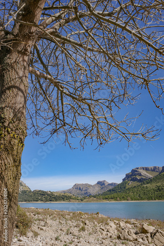 Mallorca, Spain - 15 Feb 2026: Cuber Reservoir in Mallorca's Tramuntana mountains