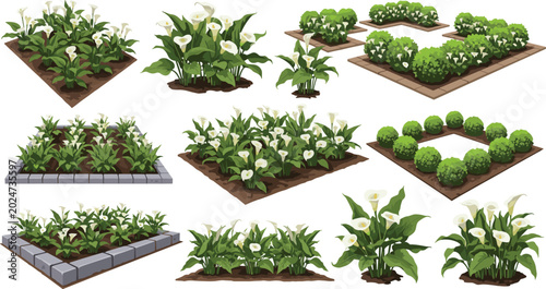 Foto Vector garden landscape elements featuring white calla lily flower beds and round green bushes for backyard design