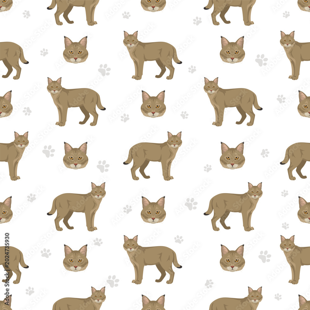 Fototapeta premium European wild cats. Jungle cat seamless pattern. Vector illustration