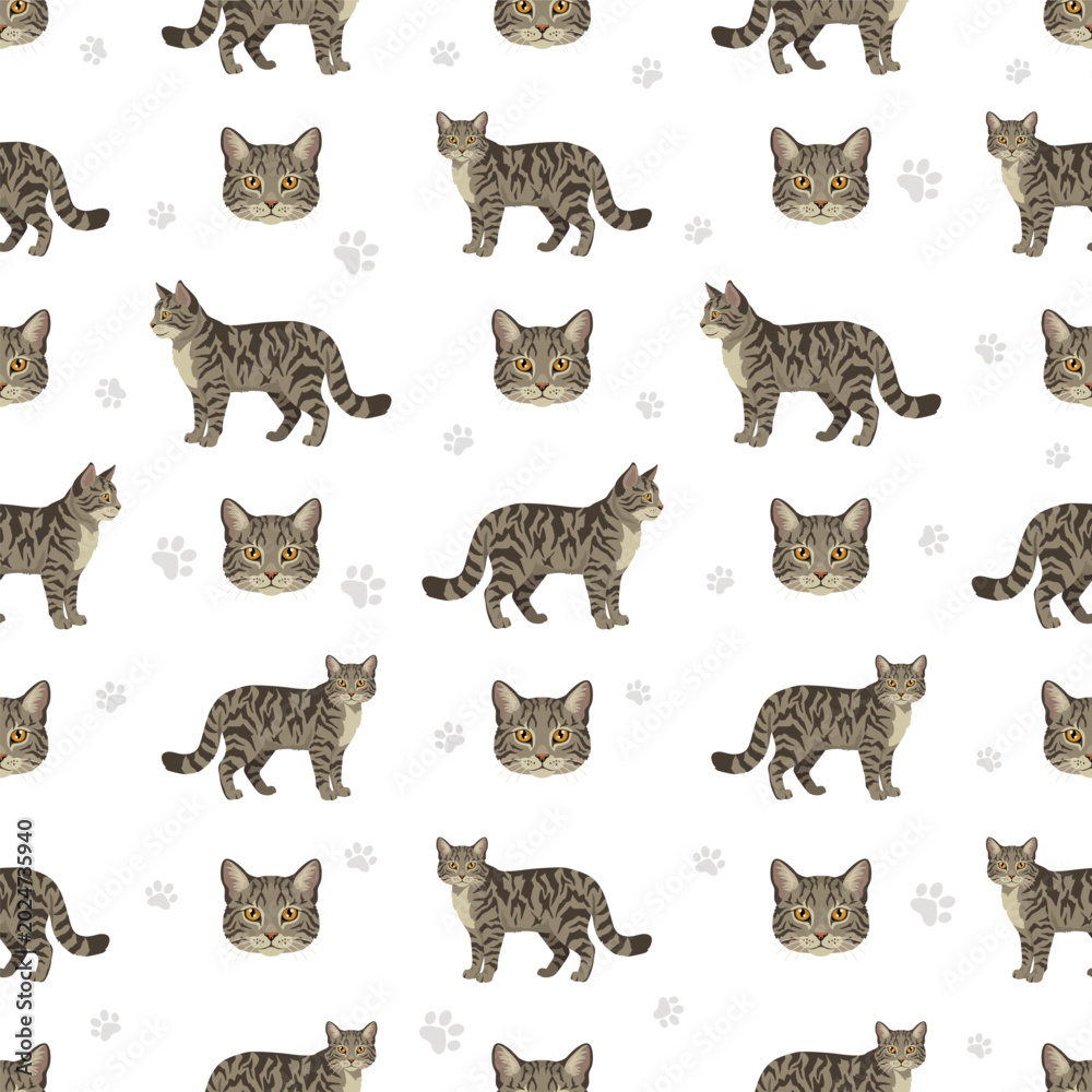 Fototapeta premium European wild cats. European wildcat seamless pattern. Vector illustration