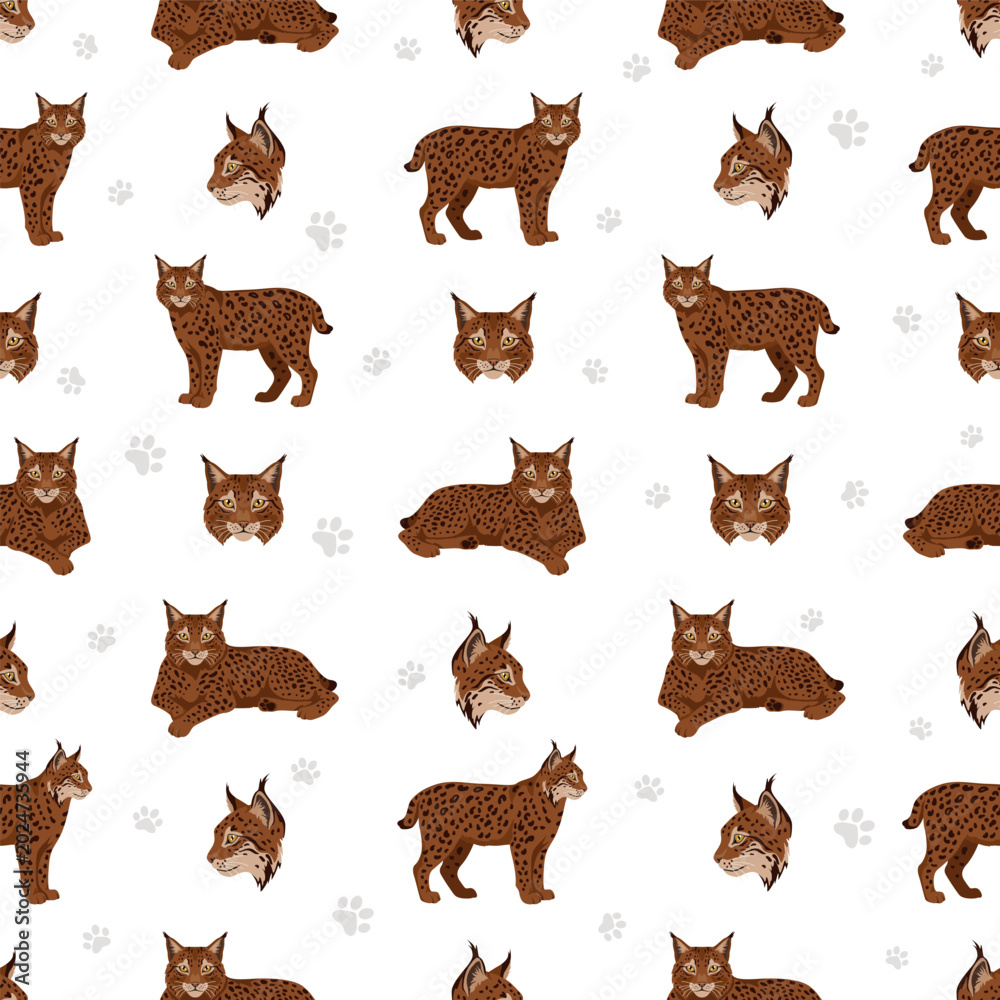 Fototapeta premium European wild cats. Iberian lynx seamless pattern. Vector illustration