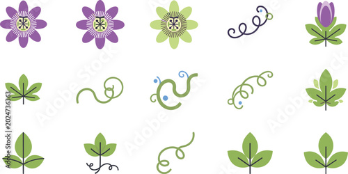 Bild auf Leinwand Minimalist passion flower vector icon set featuring simple passiflora blossoms purple buds leaves and spiral curly tendrils
