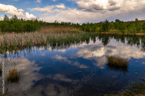 Tableau sur toile Teich