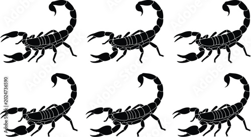 Bild auf Leinwand Black Scorpion Silhouette Collection with Dangerous Desert Arachnid Poses, Venom