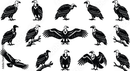 Schilderij op canvas Vulture Bird Silhouette Collection with Flying, Standing and Perched Scavenger W