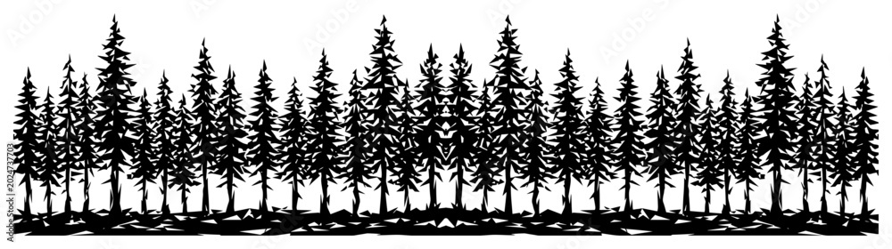 Obraz premium forest of pine and fir trees silhouette in horizontal composition