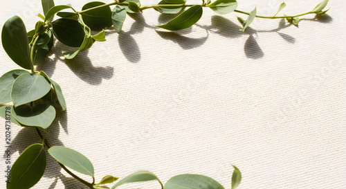 Soft green eucalyptus leaves on light cream textured canvas background