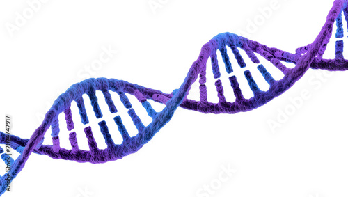 Tableau sur toile Isolated vibrant blue and purple DNA double helix molecular structure for geneti