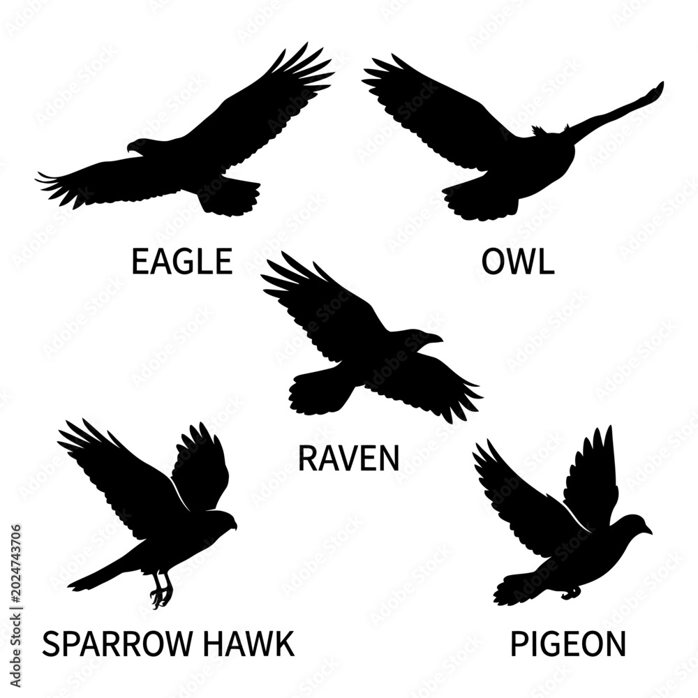 Fototapeta premium Bird Silhouette Vector Icons
