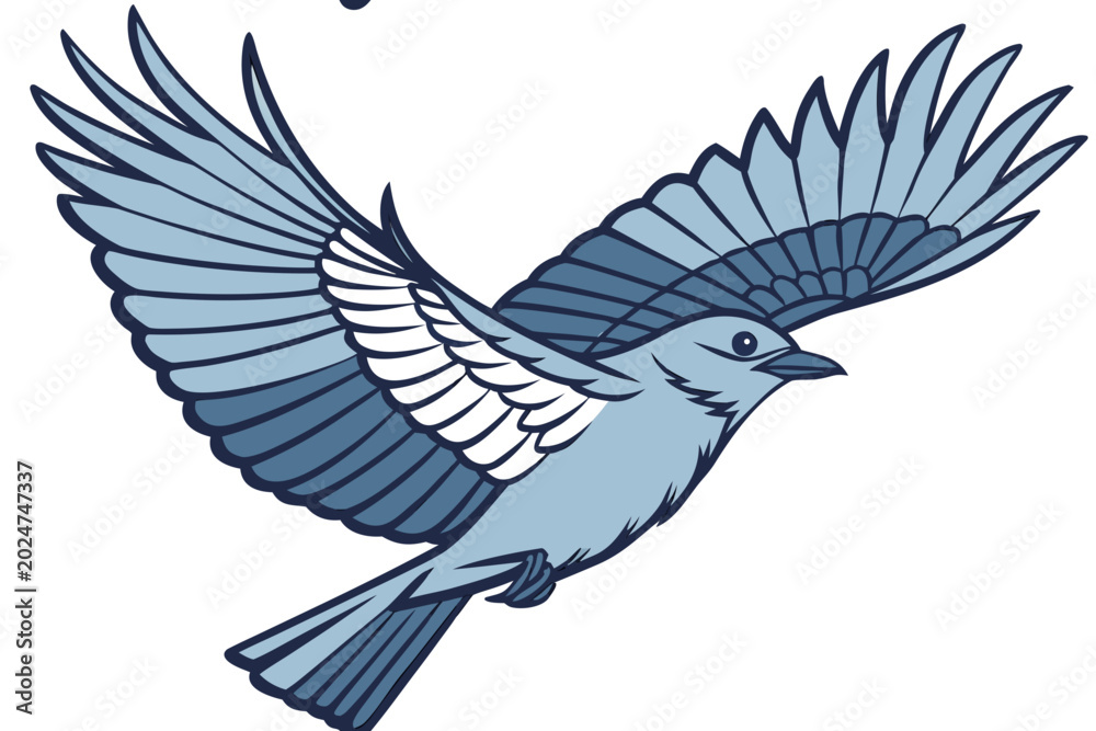 Fototapeta premium Dove on white background