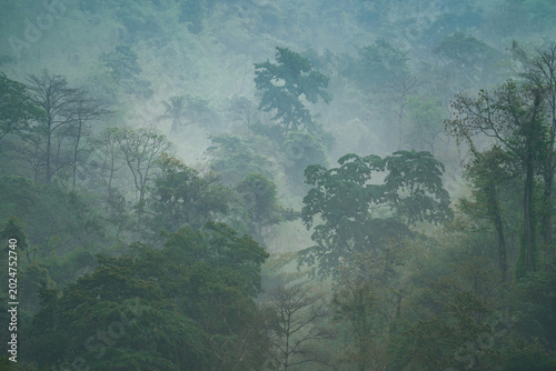 World Environment Day and E...