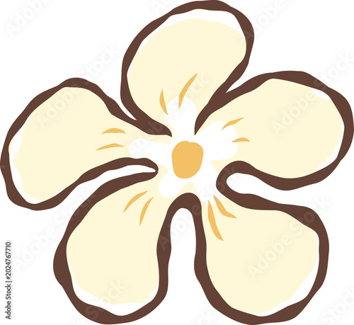 Quadro su tela Minimalist cream frangipani flower clipart
