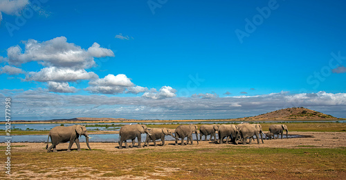 Canvas Print The Long March