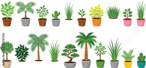 Cuadro en lienzo Collection of colorful indoor and outdoor potted plants, tropical palms, succule