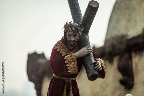 Obraz na plátně warrior with sword