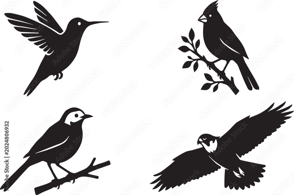Fototapeta premium Diverse Wild Birds and Flying Songbirds Vector Silhouettes