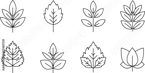 Minimalist leaf icons, simple line art leaves, botanical vector graphics, 8 black and white illustrations