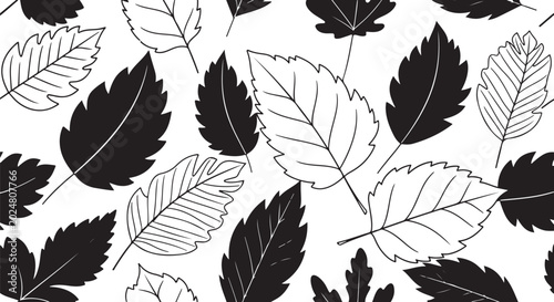 Black and white leaf pattern, leafy design elements, botanical vector graphics, monochrome foliage illustrations