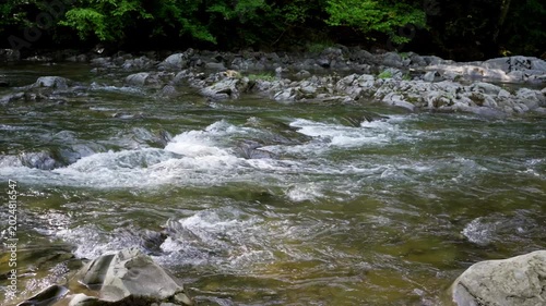 Rushing Mountain River Rapids with White Foam and Forest Background