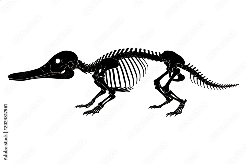 Fototapeta premium Prehistoric Mammal Skeleton Silhouette: A stark black silhouette of a fossilized prehistoric mammal skeleton, showcasing its skeletal structure and unique form against a clean, bright background.