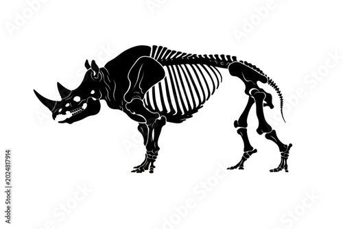 Rhino Skeleton Illustration: A stark, black and white illustration depicting the detailed skeleton of a rhinoceros, showcasing its powerful bone structure and iconic horn.