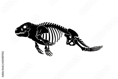 Photography Ancient Fossil Skeleton: A detailed black and white illustration of an ancient reptile skeleton, showcasing its bony structure from head to tail