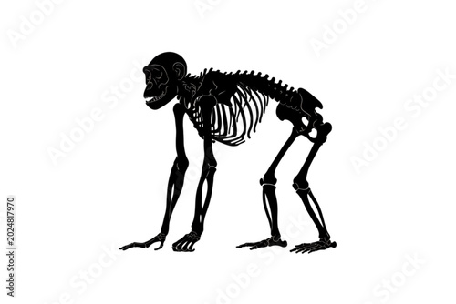 Foto Primate Skeleton Silhouette: A stark black silhouette of a primate skeleton, showcasing its skeletal structure with detailed bone formation and posture