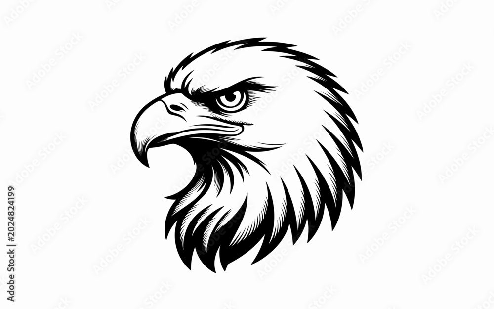 Fototapeta premium Vector illustration of a bald eagle head, mascot logo design
