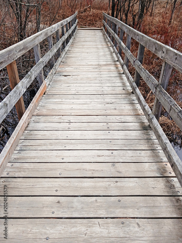 Rustic wooden walkway in a wooded area of ​​Quebec. Wooden bridge in a Canadian nature park. Hiking and outdoor activities.
