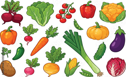 Fresh organic vegetables set with tomato carrot pumpkin pepper and broccoli cartoon vector illustration isolated on white