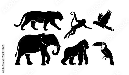 Photography ​Jungle and Rainforest Animals Silhouette Vector Set: Black Icons of Tiger, Elephant, Gorilla, Monkey, Parrot, and Toucan Isolated on White Background