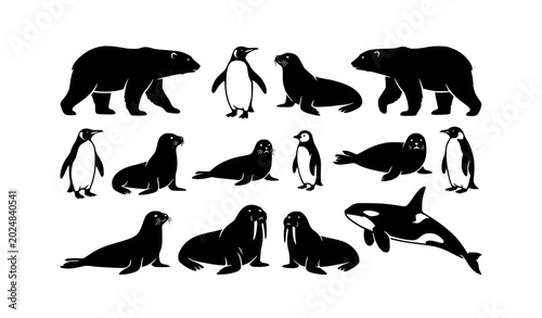 Schilderij op canvas Arctic and Antarctic Wildlife Vector Illustration Set: Black and White Icons of Polar Bears, Penguins, Seals, Walruses, and Killer Whale Isolated on White Background