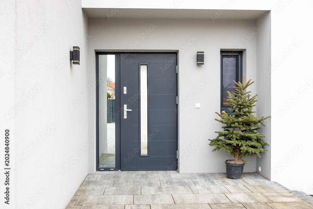Fototapeta premium Facade of a modern building with modern doors 